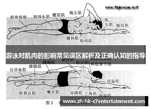 游泳对肌肉的影响常见误区解析及正确认知的指导 游泳对肌肉的影响常见误区解析及正确认知的指导
