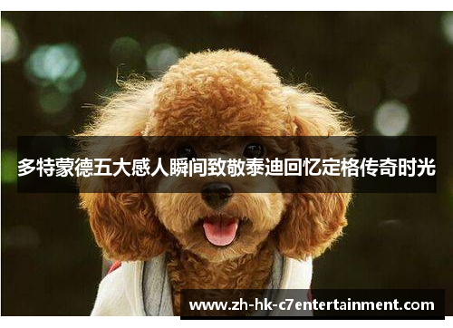 多特蒙德五大感人瞬间致敬泰迪回忆定格传奇时光 多特蒙德五大感人瞬间致敬泰迪回忆定格传奇时光