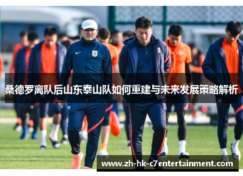 桑德罗离队后山东泰山队如何重建与未来发展策略解析