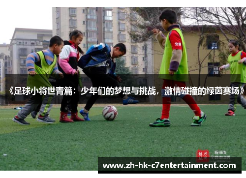 《足球小将世青篇:少年们的梦想与挑战,激情碰撞的绿茵赛场》 《足球小将世青篇:少年们的梦想与挑战,激情碰撞的绿茵赛场》