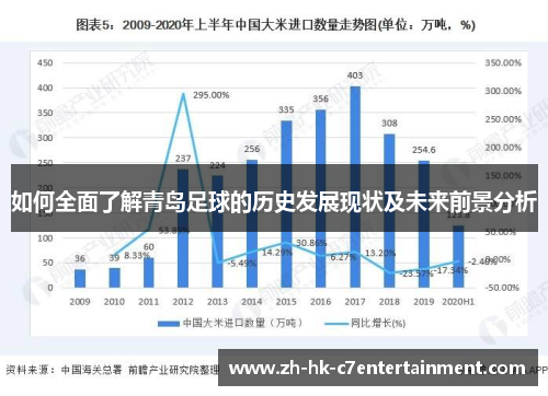 如何全面了解青岛足球的历史发展现状及未来前景分析
