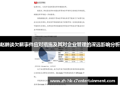 赵鹏谈欠薪事件应对措施及其对企业管理的深远影响分析