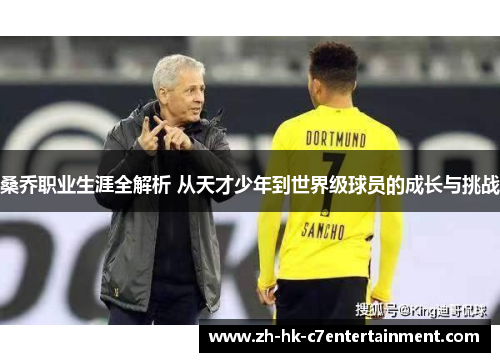 桑乔职业生涯全解析 从天才少年到世界级球员的成长与挑战 桑乔职业生涯全解析 从天才少年到世界级球员的成长与挑战