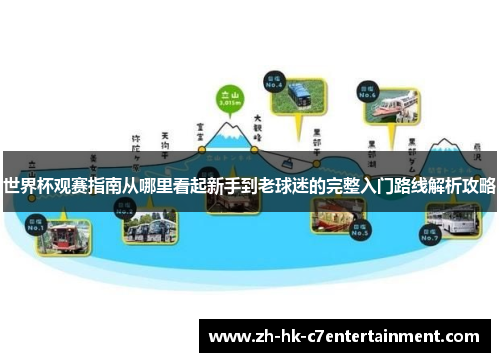 世界杯观赛指南从哪里看起新手到老球迷的完整入门路线解析攻略