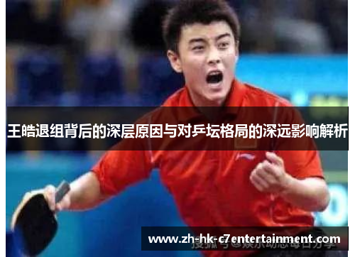 王皓退组背后的深层原因与对乒坛格局的深远影响解析 王皓退组背后的深层原因与对乒坛格局的深远影响解析